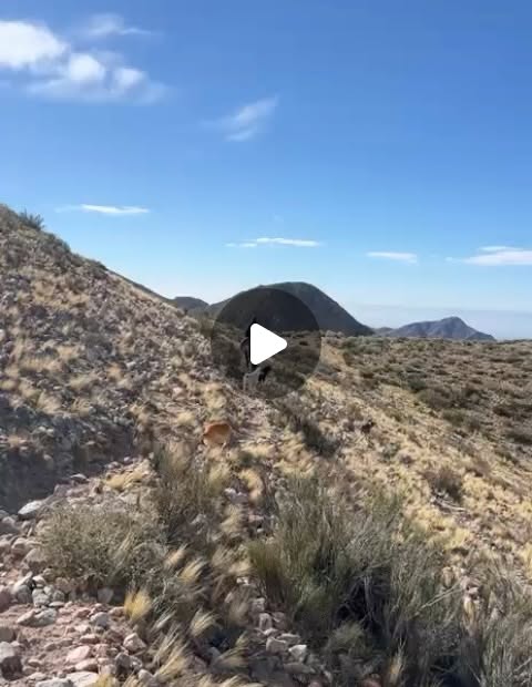 Experiencia de Arrieros del Valle Mendoza 2