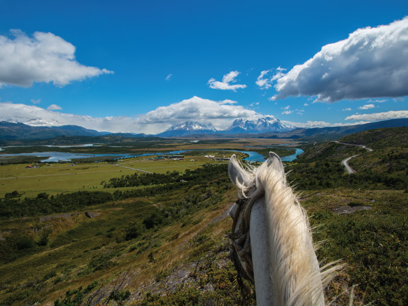 Experiencia de pesca con mosca de Equus Argentina 3