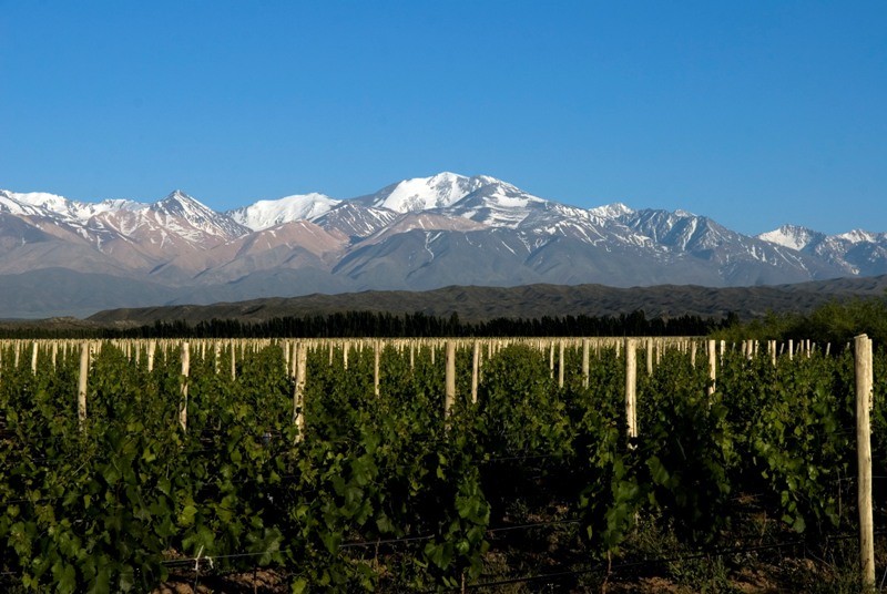 Wine Tour de Wine and Ride en el Valle de Uco 2