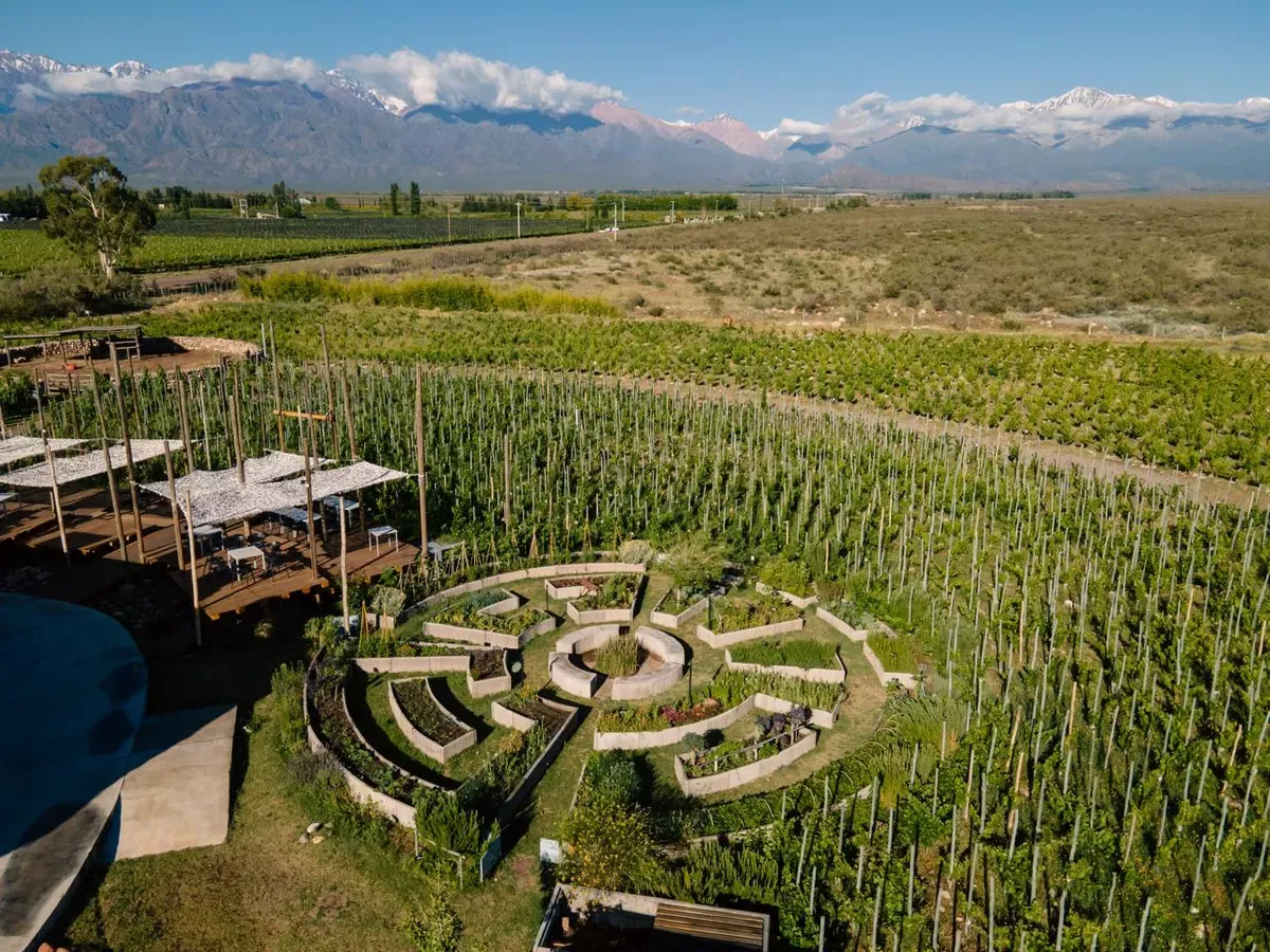 Wine Tour de Wine and Ride en el Valle de Uco 3